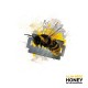 Alan Reed - Honey On The Razor's Edge CD