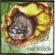 The Watch - Primitive CD